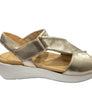 Ziera Nazly2 XW Platino White