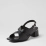 Ziera Carlen Black