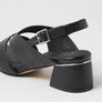 Ziera Carlen Black