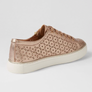 ZIERA Pandoe XF Champagne