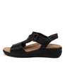ZIERA Nazly 2 XW Black