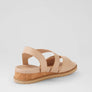 Ziera Vamsy W Camel Camel