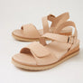 Ziera Vamsy W Camel Camel
