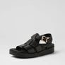 Ziera Guilda black W-ZR