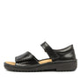 NAOT Norel black madras