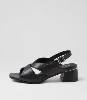Ziera Carlen Black