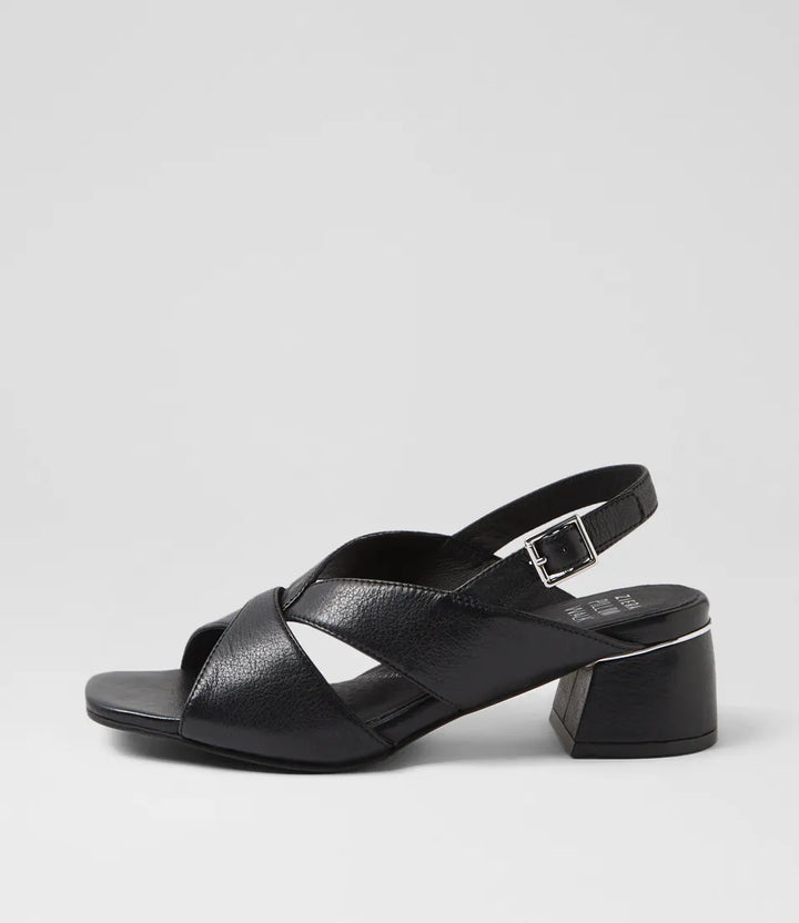 Ziera Carlen Black