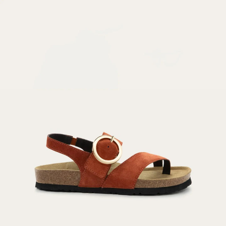 NAOT Baltimore Spice Suede