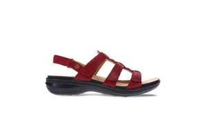 REVERE Toledo Cherry Lizard