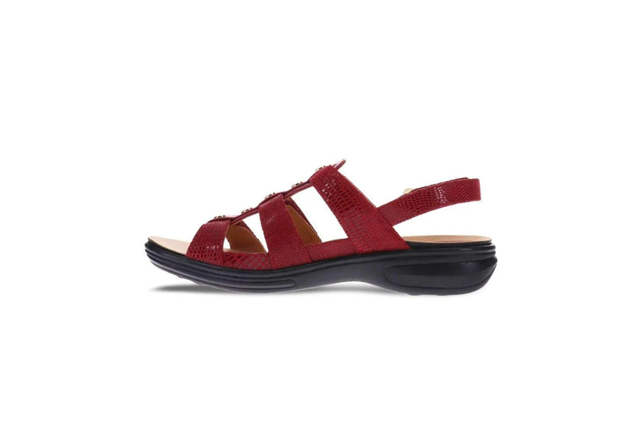 REVERE Toledo Cherry Lizard