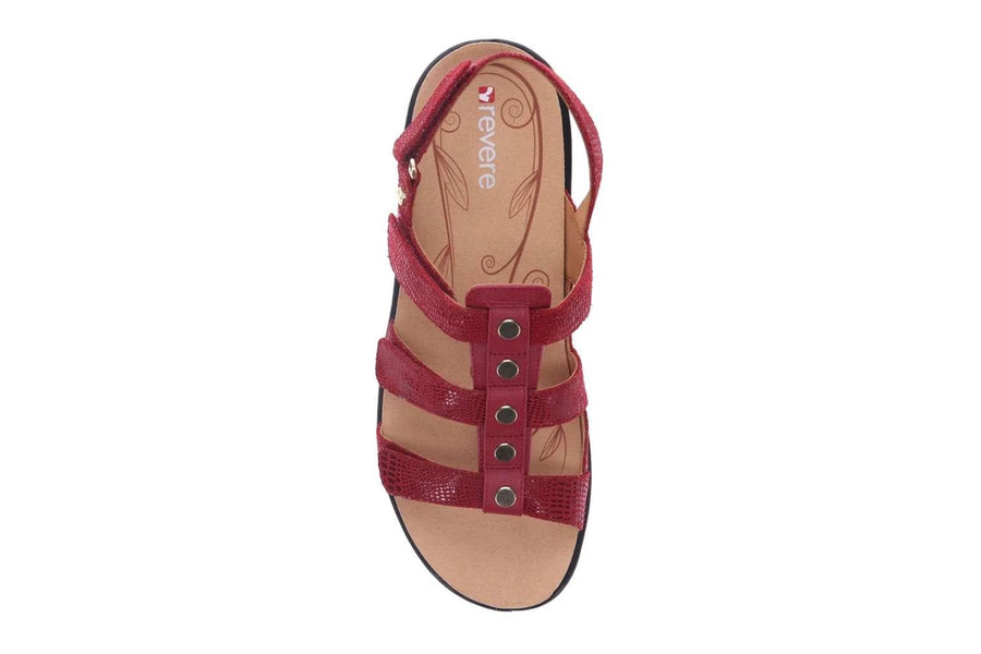 REVERE Toledo Cherry Lizard
