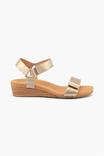 Silver Lining Utica Print Champagne Spritz (rose gold)