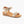 Silver Lining Utica Print Champagne Spritz (rose gold)