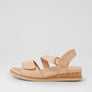 Ziera Vamsy W Camel Camel