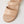 Ziera Vamsy W Camel Camel