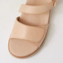 Ziera Vamsy W Camel Camel