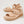 Ziera Vamsy W Camel Camel