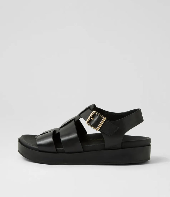 Ziera Guilda black W-ZR