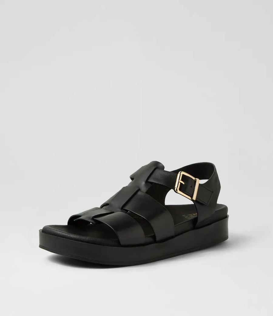 Ziera Guilda black W-ZR