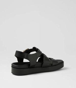 Ziera Guilda black W-ZR