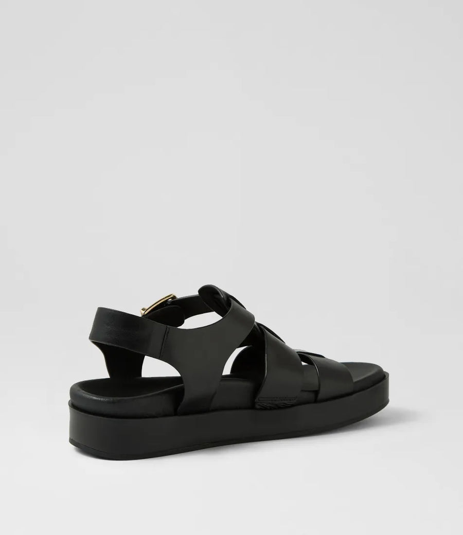 Ziera Guilda black W-ZR