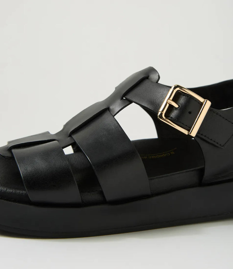 Ziera Guilda black W-ZR