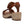 Remonte Marylyn Brown D0N52-24